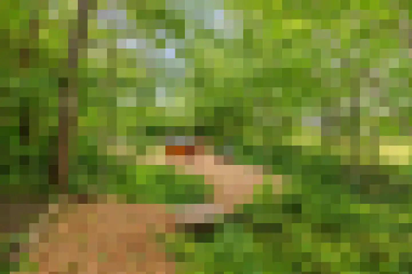 Oosterpaasloërweg 2 Paasloo thumbnail 63