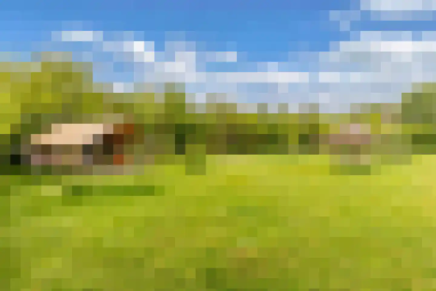 Oosterpaasloërweg 2 Paasloo thumbnail 64