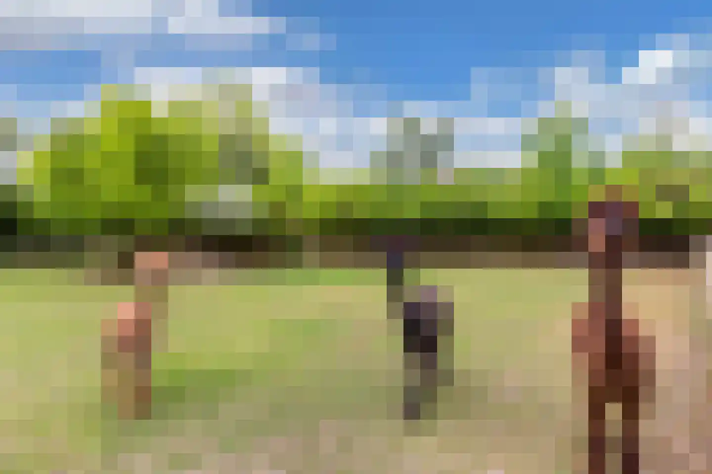 Oosterpaasloërweg 2 Paasloo thumbnail 65