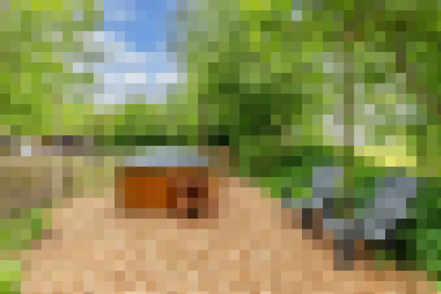 Oosterpaasloërweg 2 Paasloo thumbnail 66