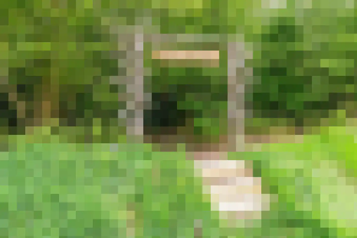 Oosterpaasloërweg 2 Paasloo thumbnail 69