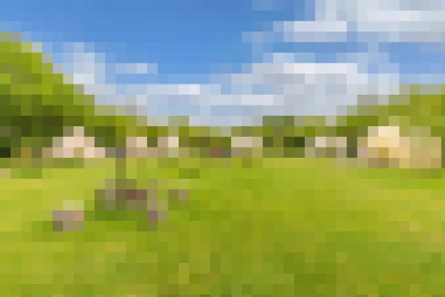 Oosterpaasloërweg 2 Paasloo thumbnail 69