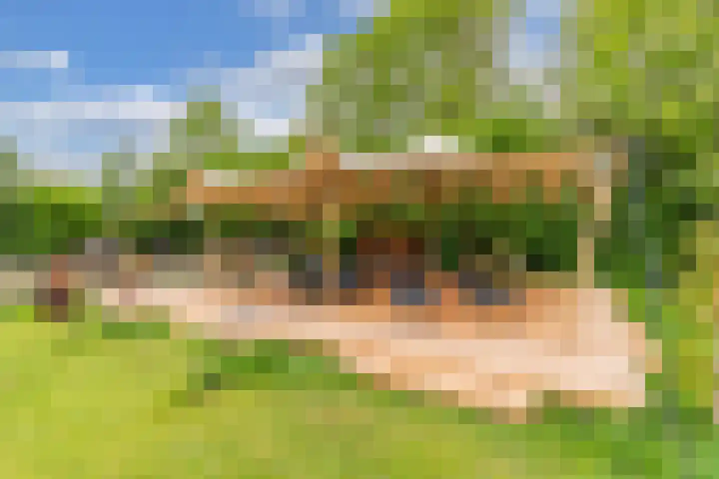 Oosterpaasloërweg 2 Paasloo thumbnail 70