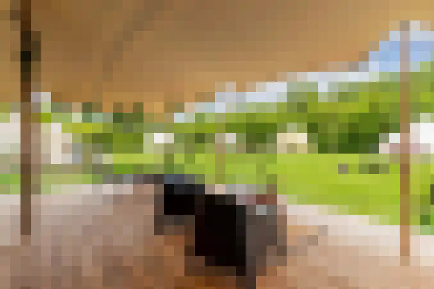 Oosterpaasloërweg 2 Paasloo thumbnail 71