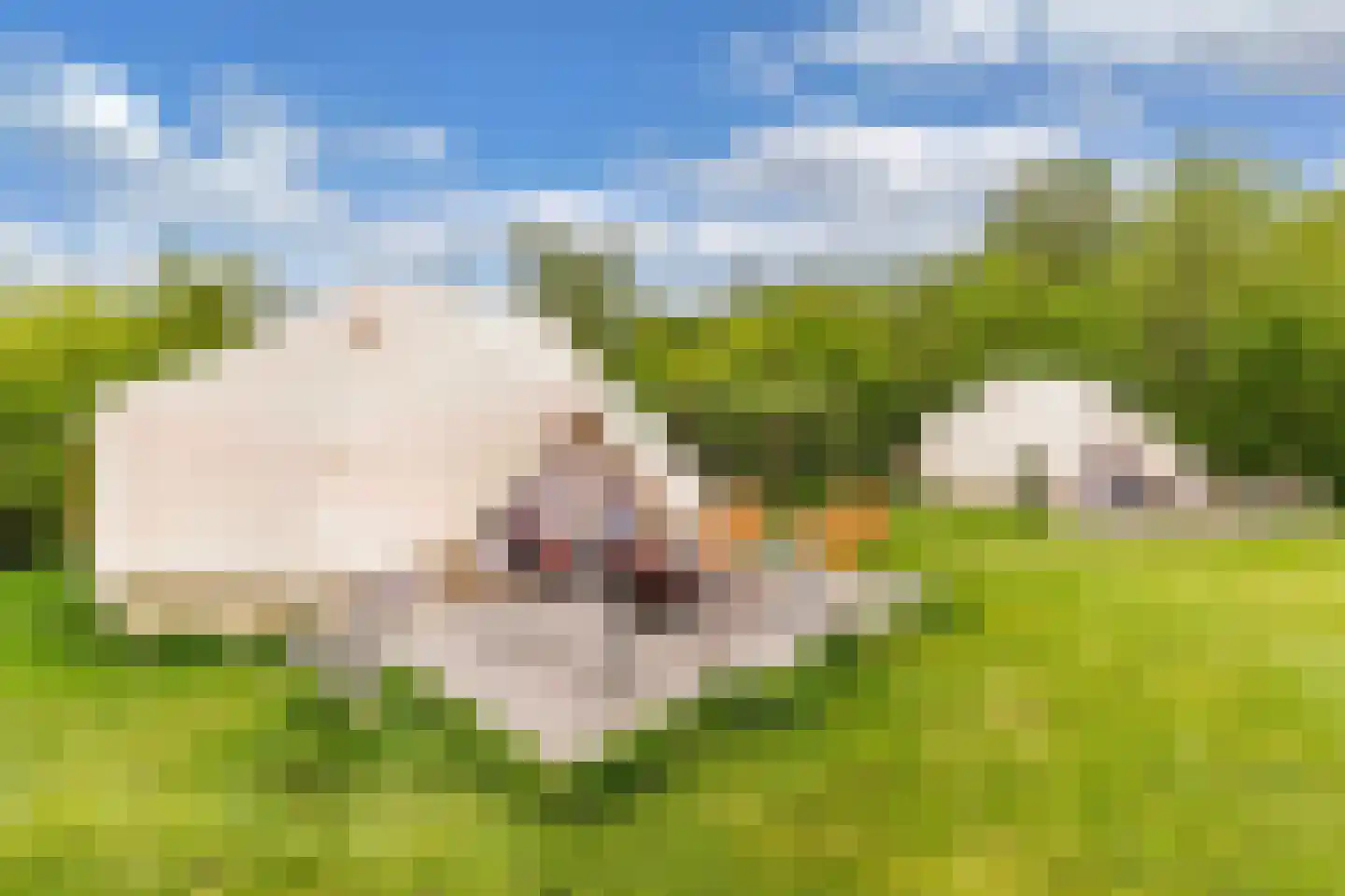 Oosterpaasloërweg 2 Paasloo thumbnail 72