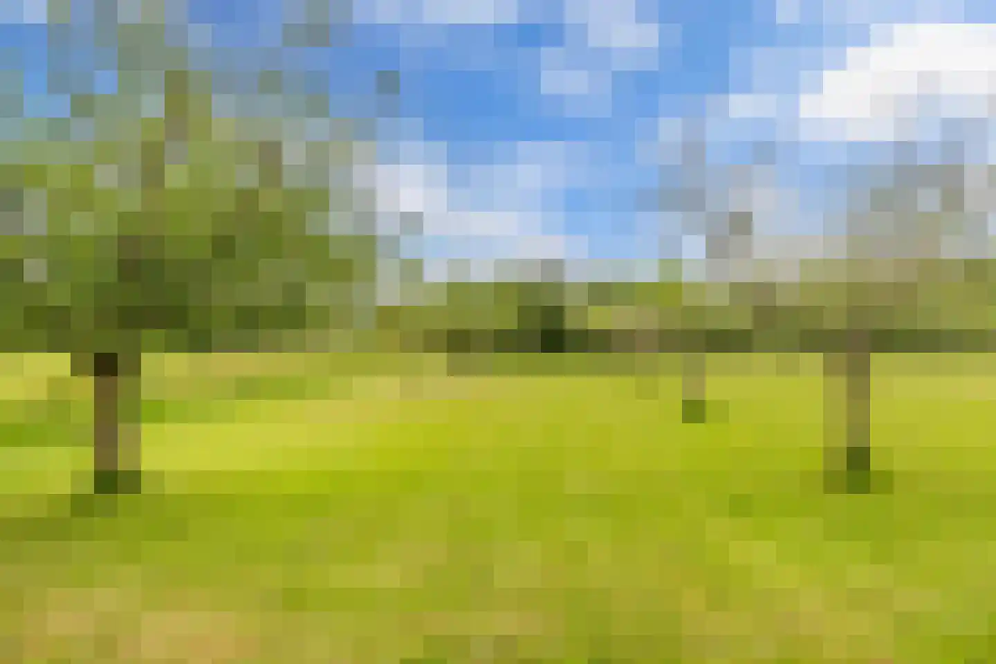 Oosterpaasloërweg 2 Paasloo thumbnail 72
