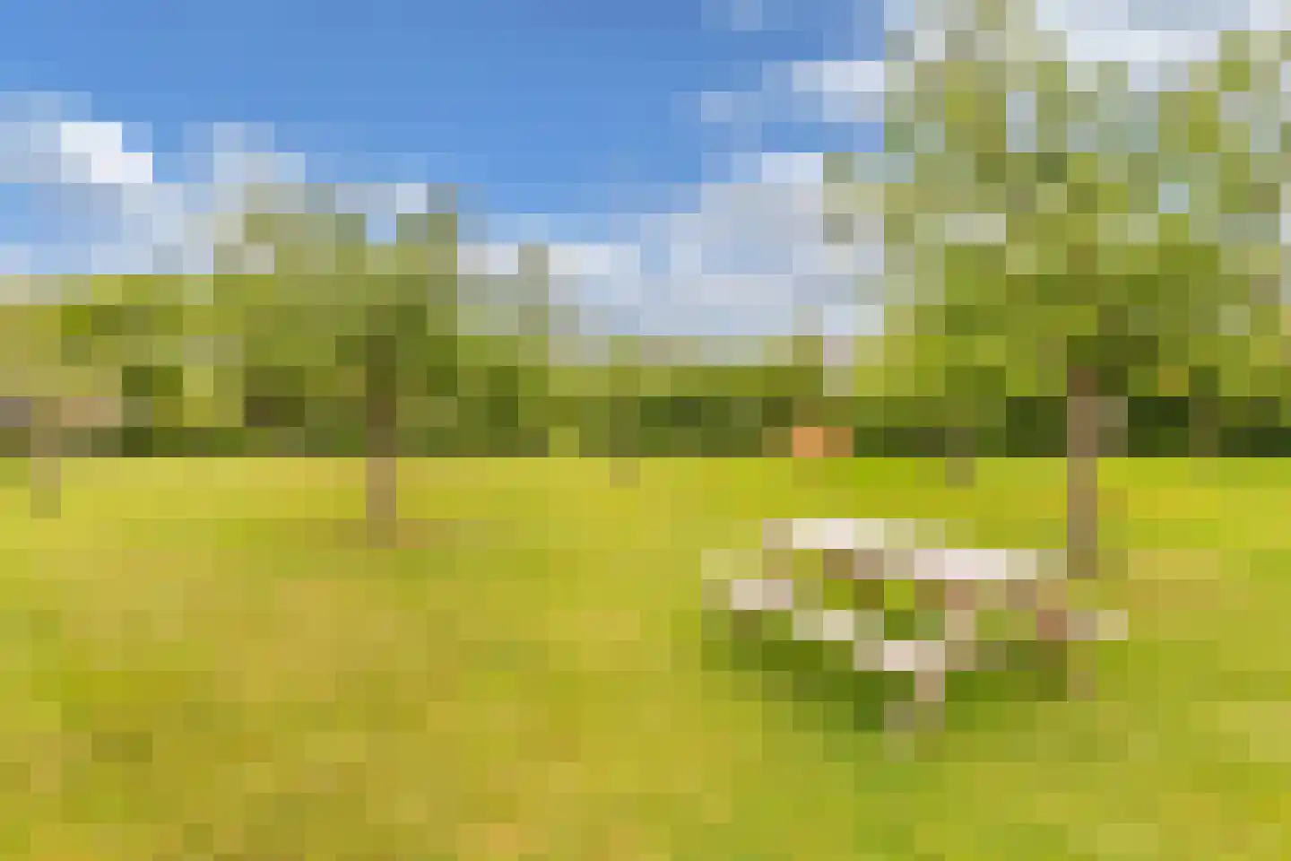 Oosterpaasloërweg 2 Paasloo thumbnail 73
