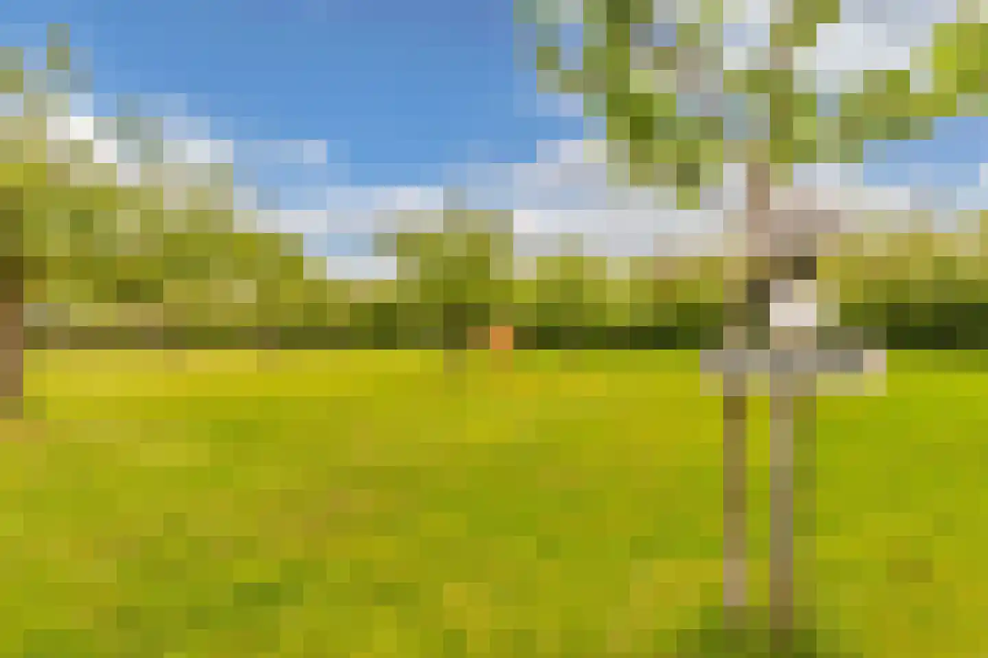 Oosterpaasloërweg 2 Paasloo thumbnail 74