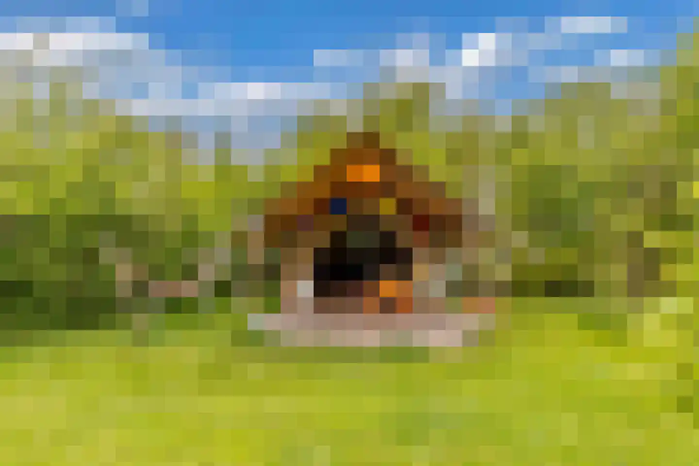 Oosterpaasloërweg 2 Paasloo thumbnail 75