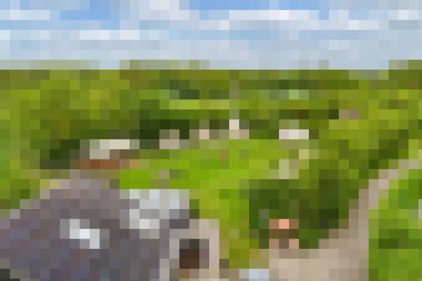 Oosterpaasloërweg 2 Paasloo thumbnail 75
