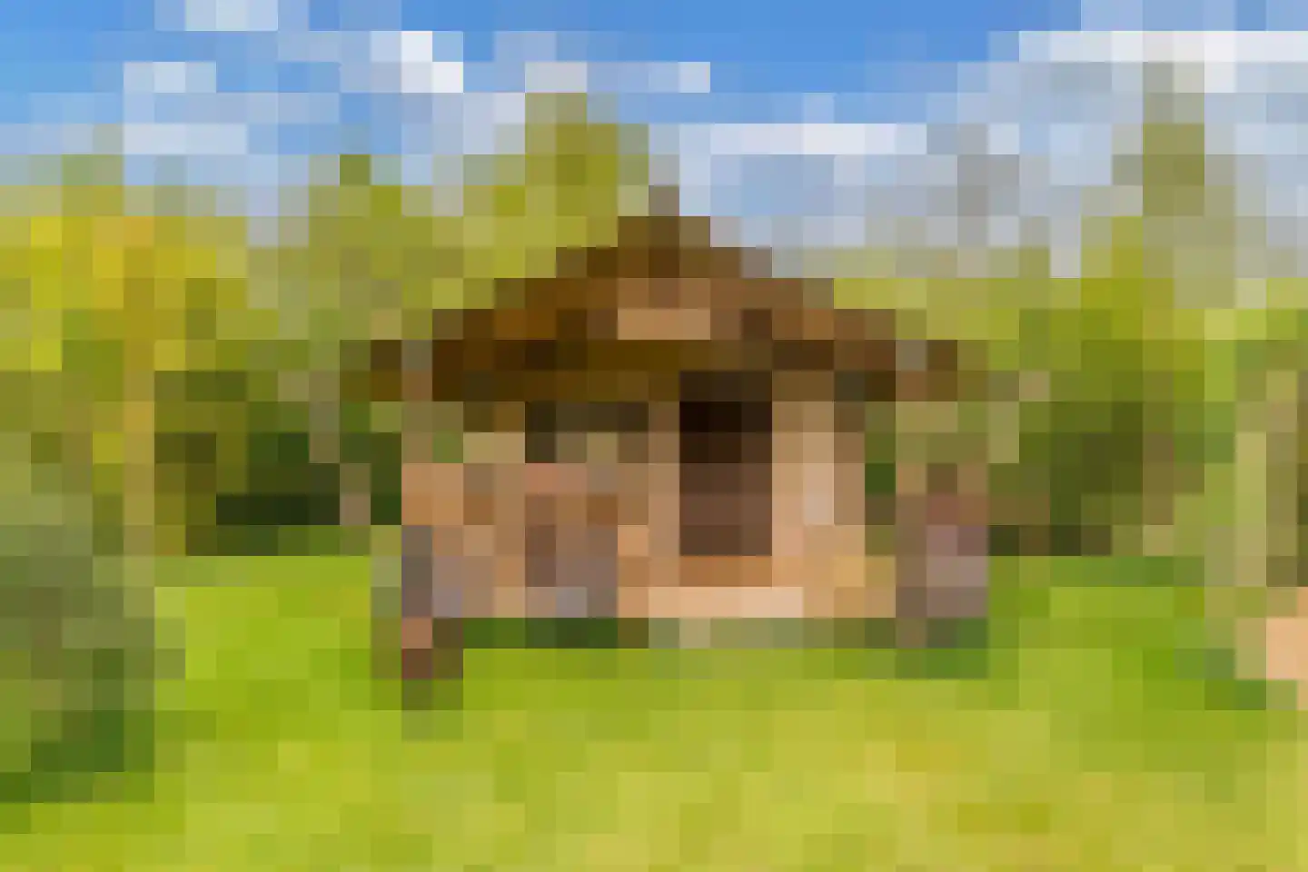 Oosterpaasloërweg 2 Paasloo thumbnail 77