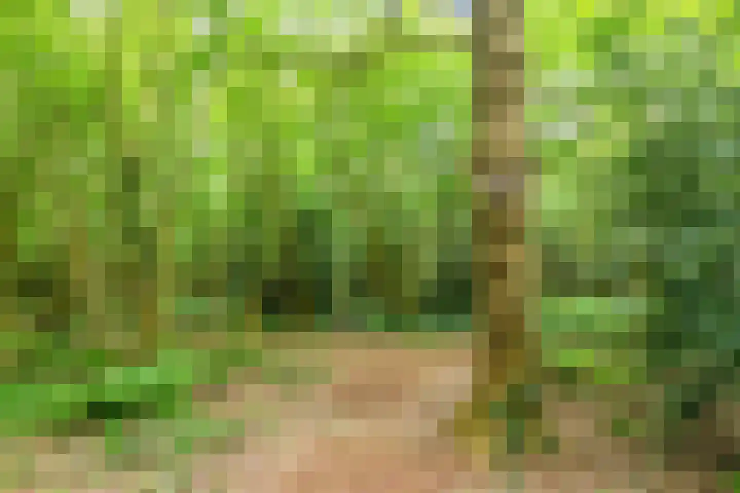 Oosterpaasloërweg 2 Paasloo thumbnail 80
