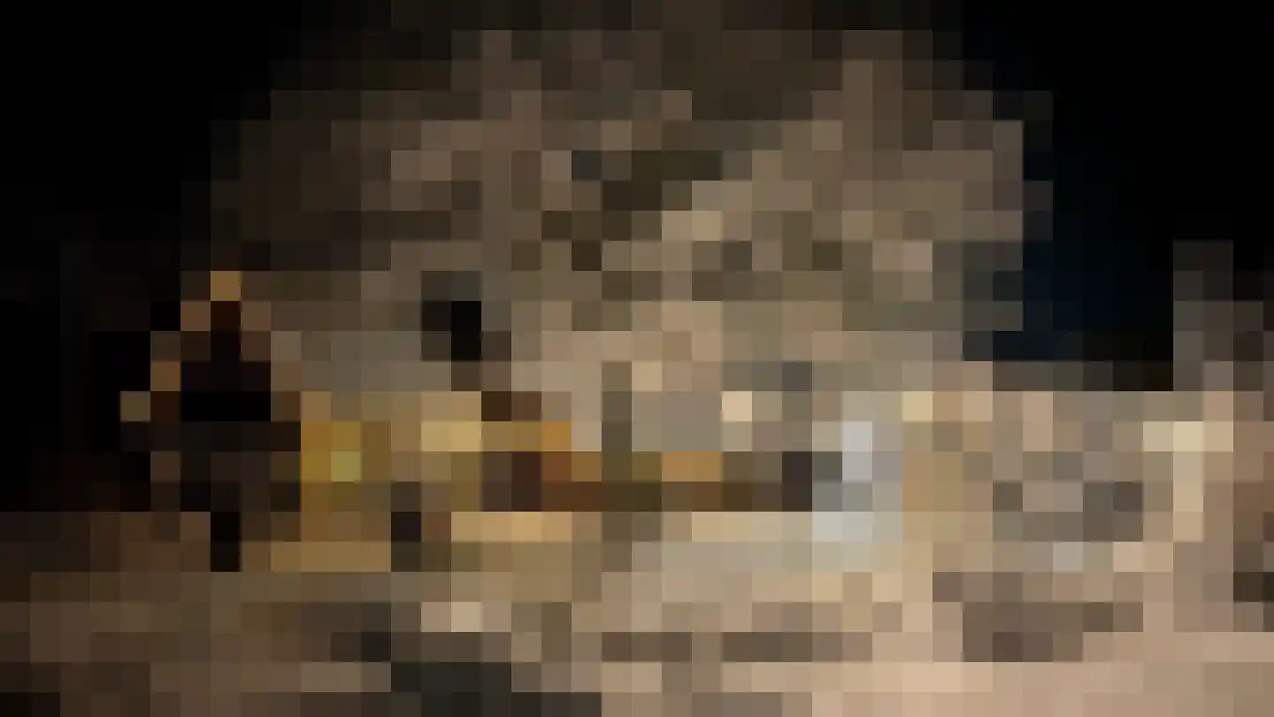 Oosterpaasloërweg 2 Paasloo thumbnail 80