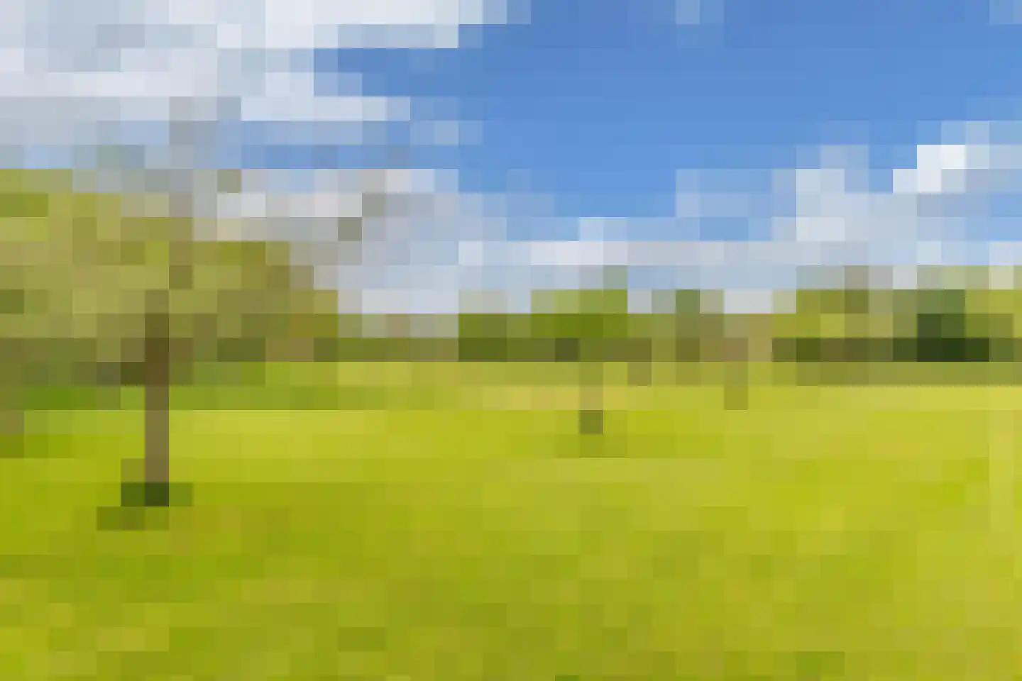 Oosterpaasloërweg 2 Paasloo thumbnail 81
