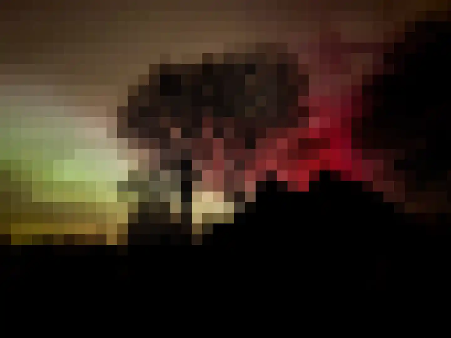 Oosterpaasloërweg 2 Paasloo thumbnail 82