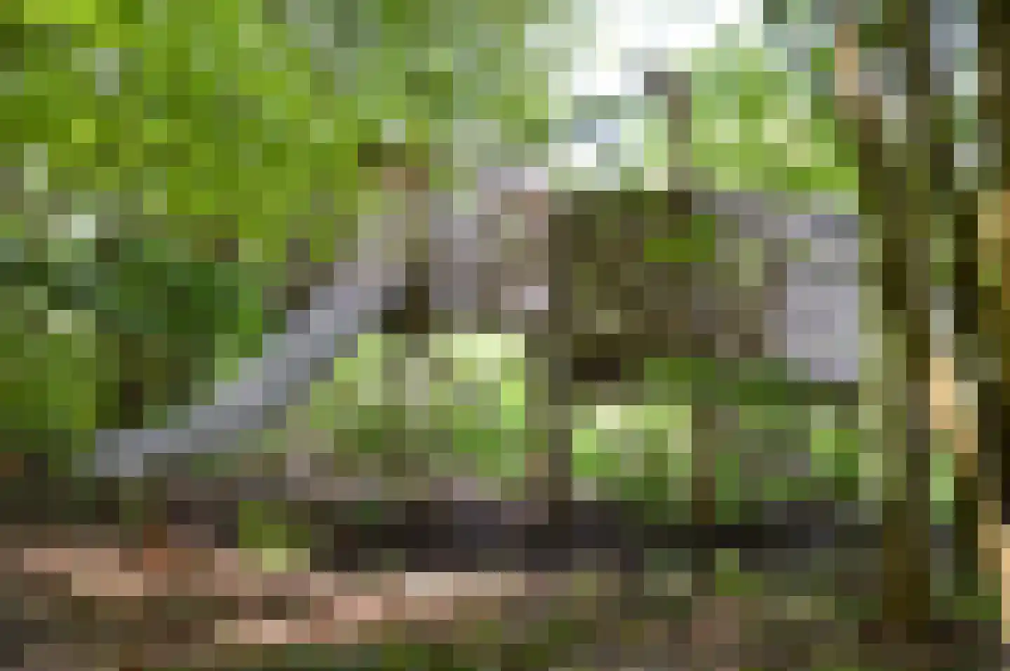 Oosterpaasloërweg 2 Paasloo thumbnail 83
