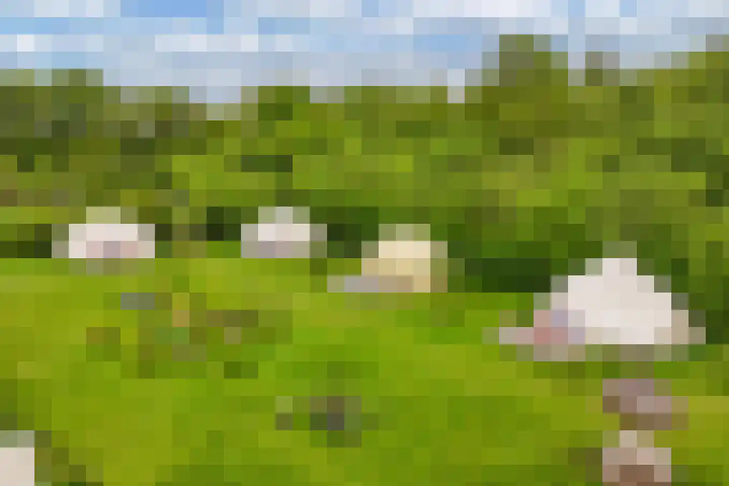 Oosterpaasloërweg 2 Paasloo thumbnail 84