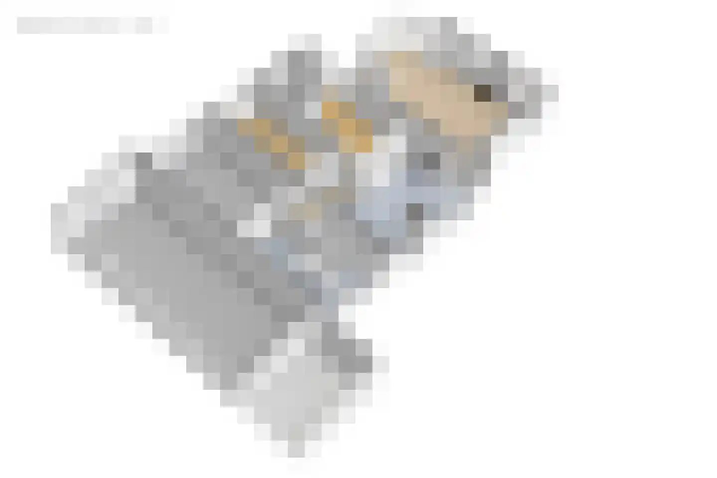 Oosterpaasloërweg 2 Paasloo thumbnail 85