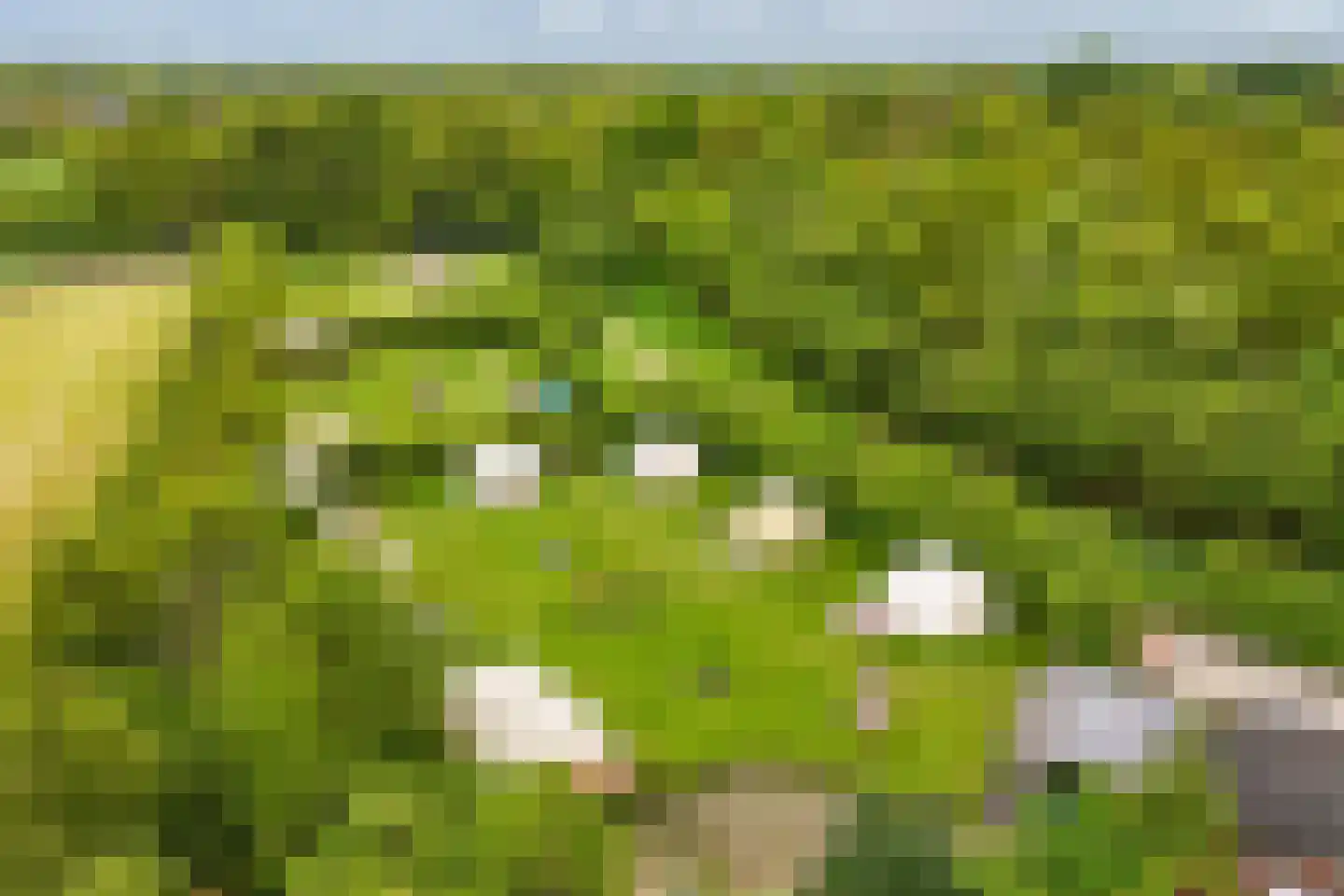 Oosterpaasloërweg 2 Paasloo thumbnail 86