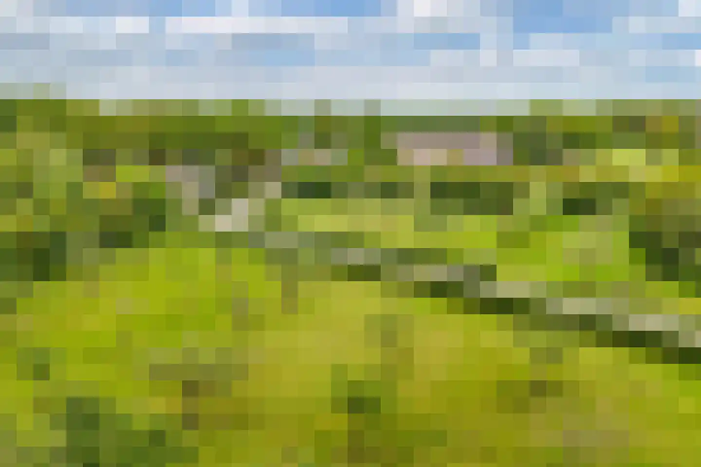 Oosterpaasloërweg 2 Paasloo thumbnail 88