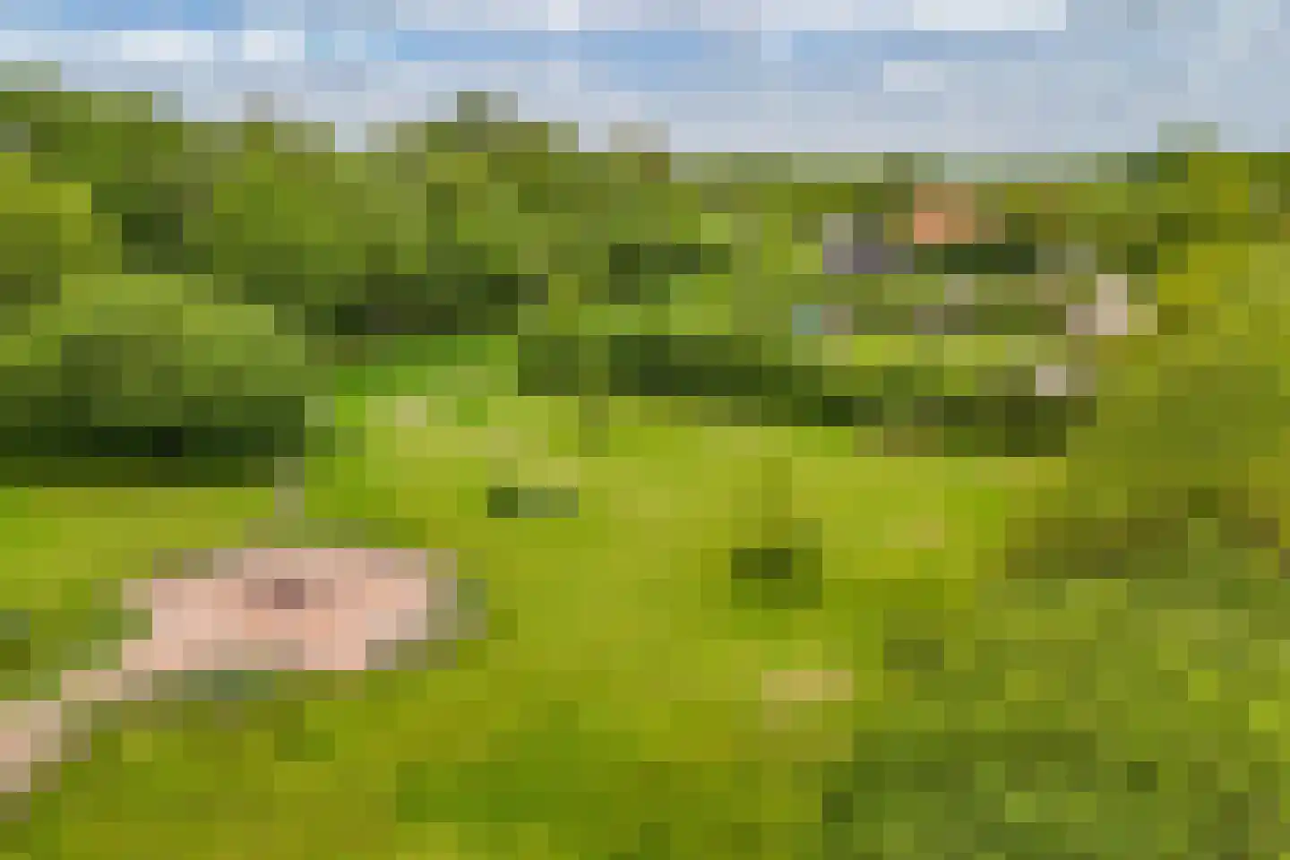 Oosterpaasloërweg 2 Paasloo thumbnail 89