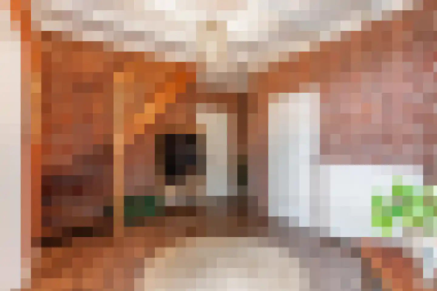 Oosterpaasloërweg 2 Paasloo thumbnail 9