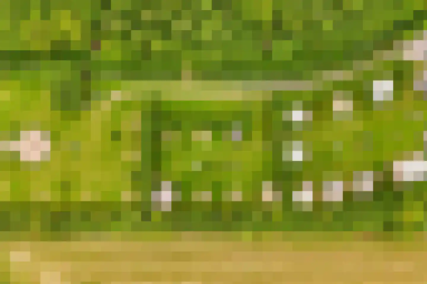 Oosterpaasloërweg 2 Paasloo thumbnail 90
