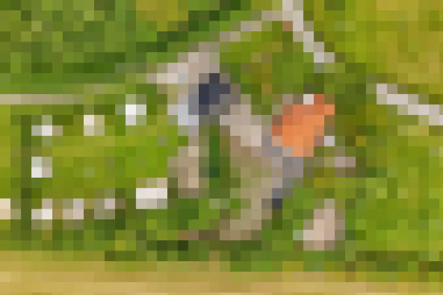 Oosterpaasloërweg 2 Paasloo thumbnail 91