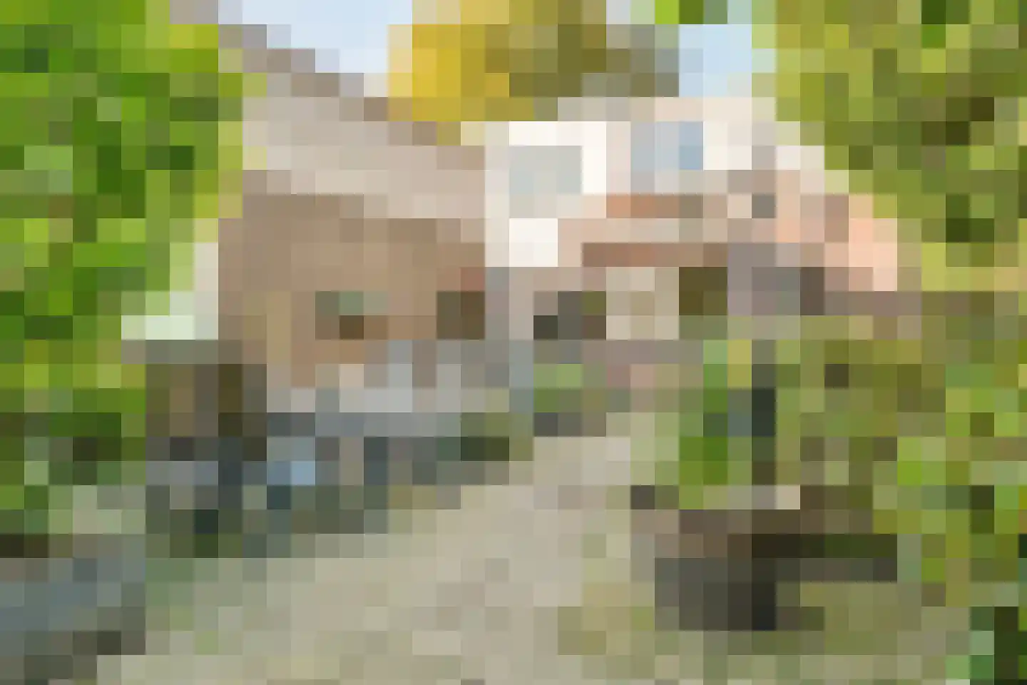 Oosterpad 28 Bussum thumbnail 4