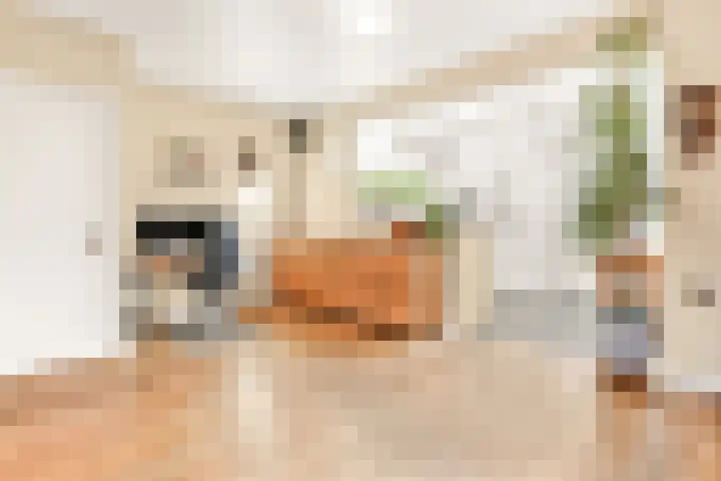 Oosterpad 28 Bussum thumbnail 7