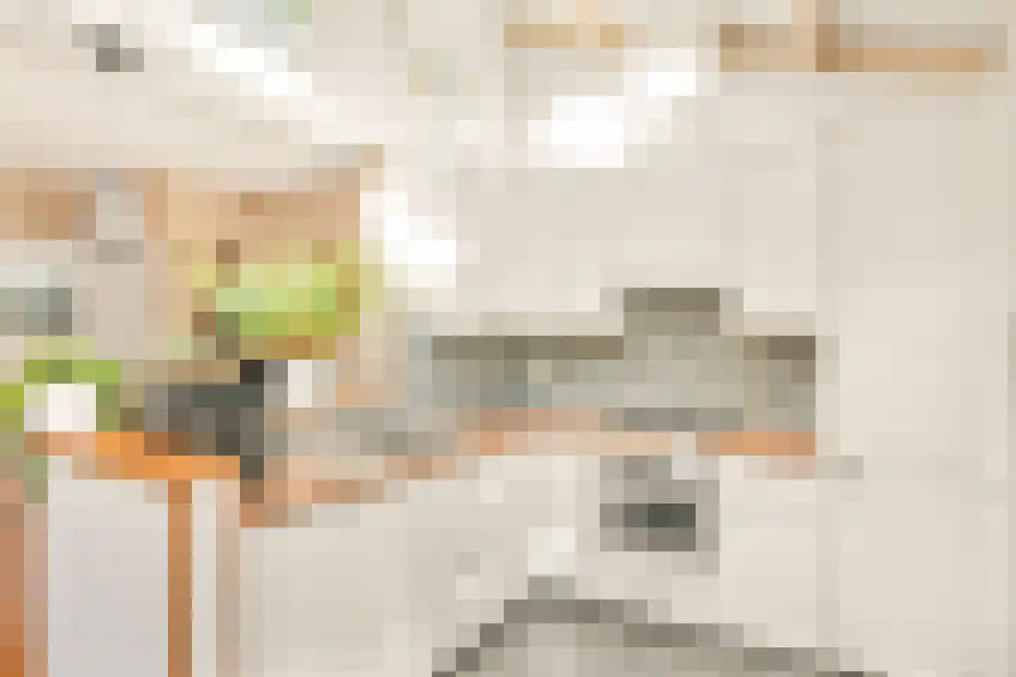 Oosterpad 28 Bussum thumbnail 8