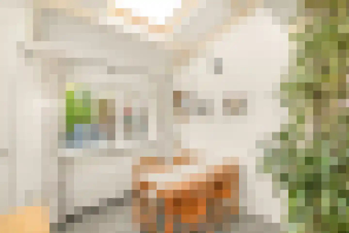 Oosterpad 28 Bussum thumbnail 9