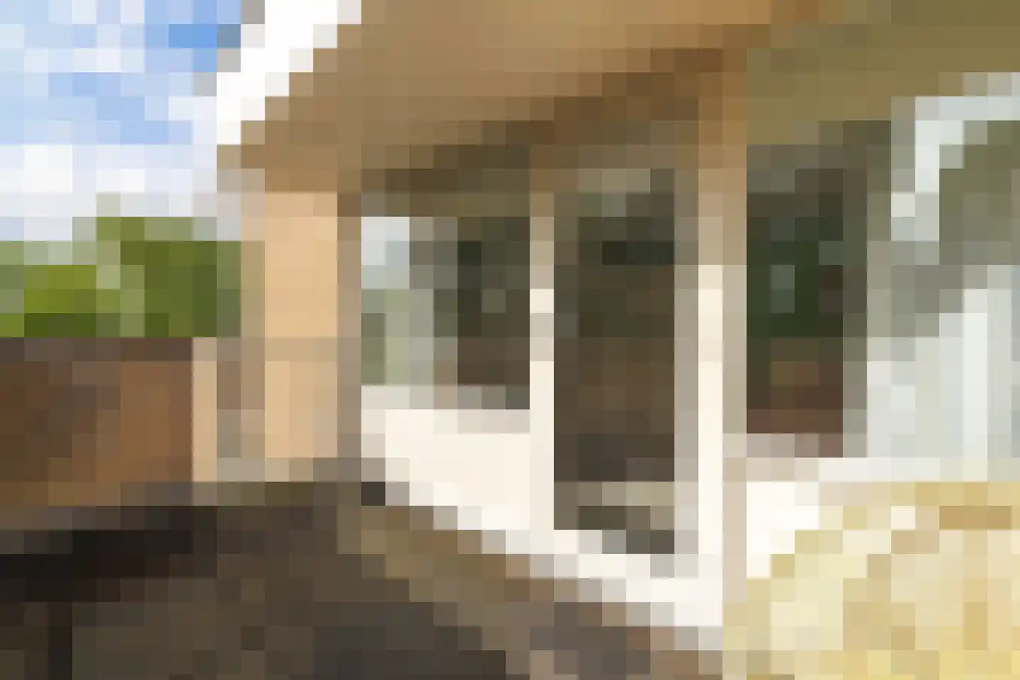 Oosterpad 40 Boxtel thumbnail 52