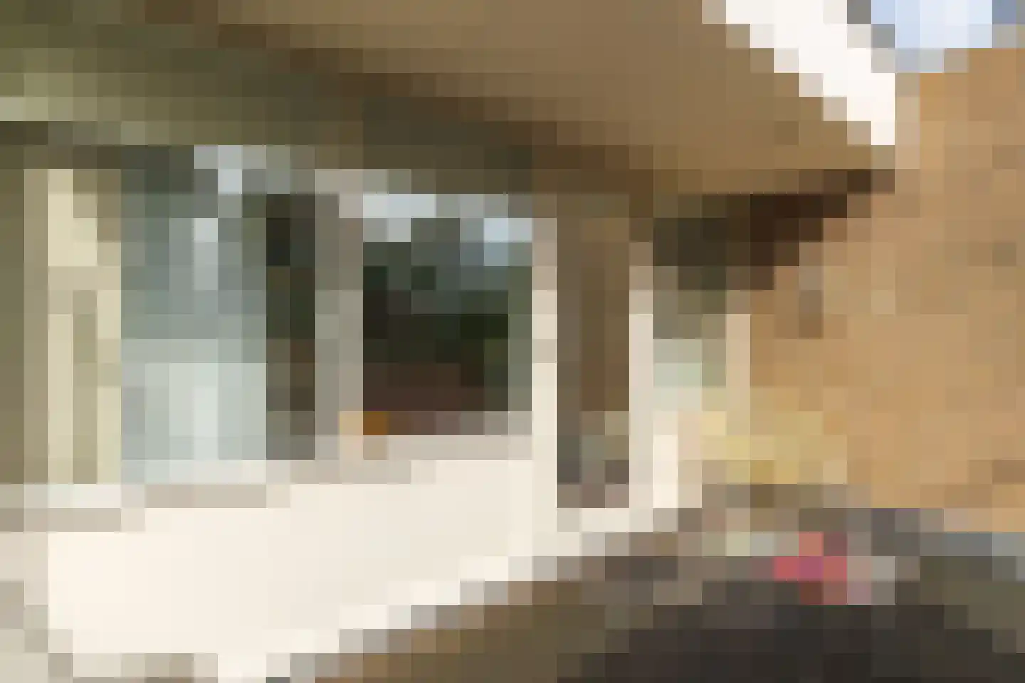 Oosterpad 40 Boxtel thumbnail 53
