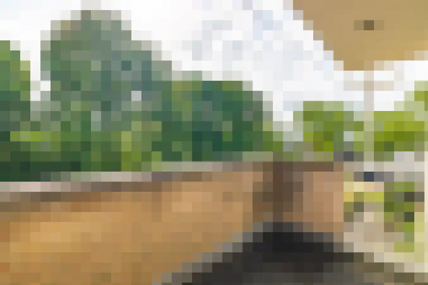 Oosterpad 40 Boxtel thumbnail 54