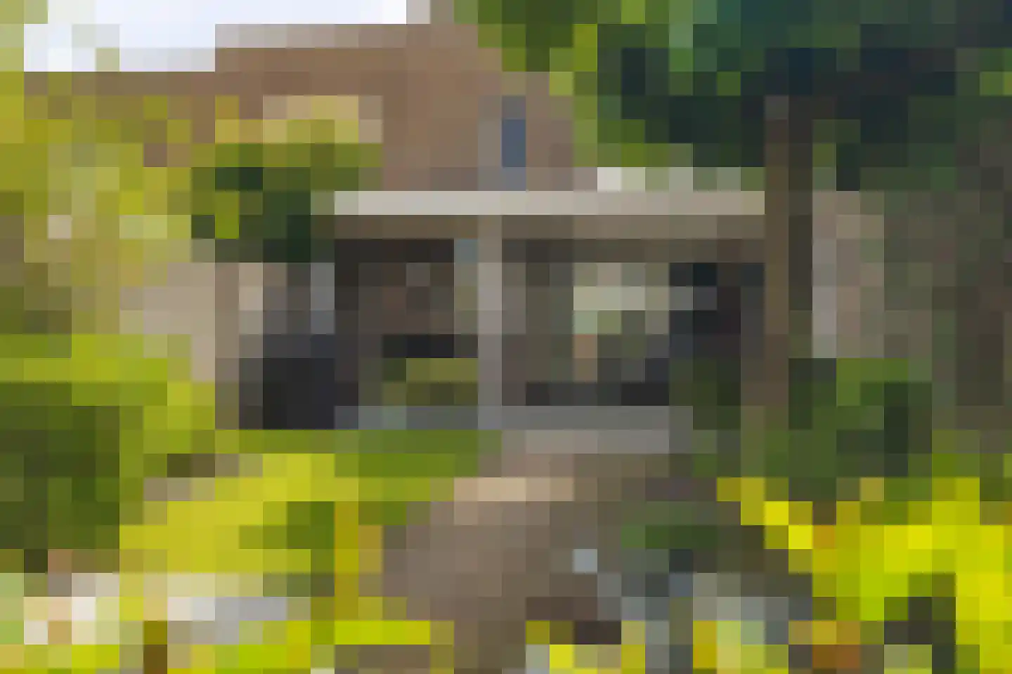 Oosterpad 40 Boxtel thumbnail 64