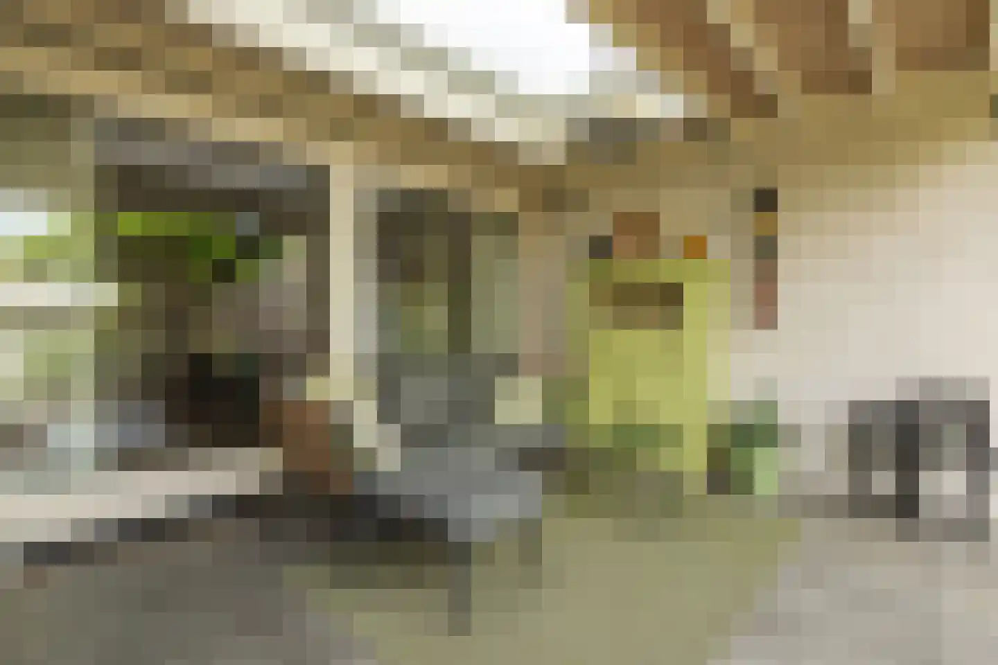 Oosterpad 40 Boxtel thumbnail 67