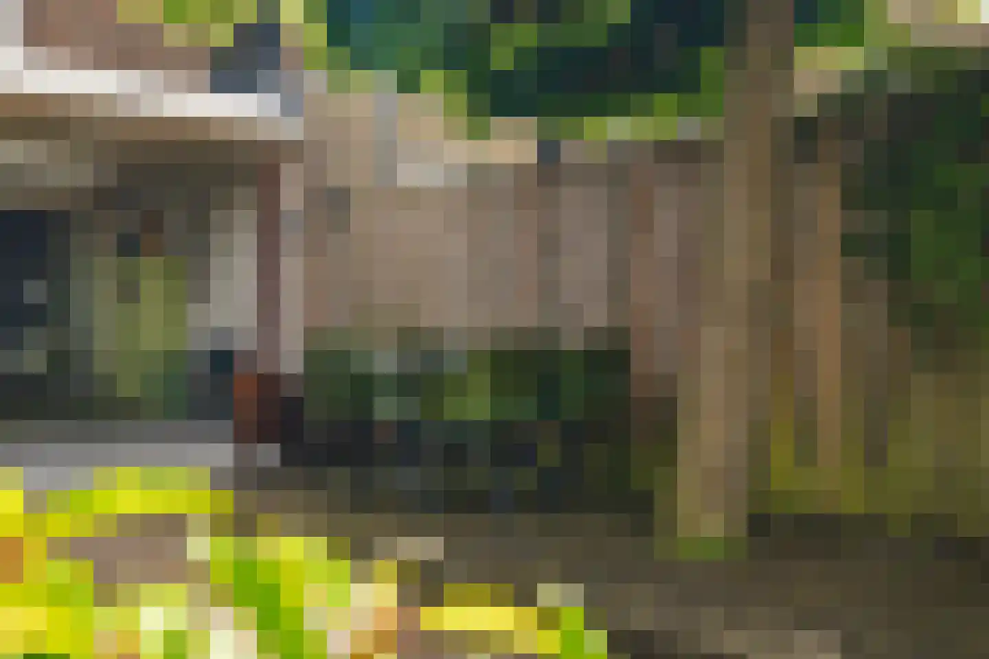 Oosterpad 40 Boxtel thumbnail 69