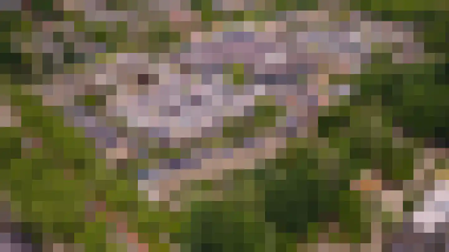Oosterpad 40 Boxtel thumbnail 82