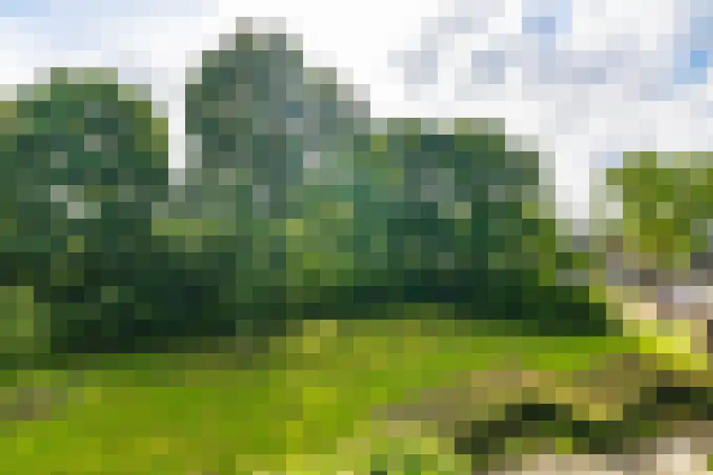 Oosterpad 40 Boxtel thumbnail 83