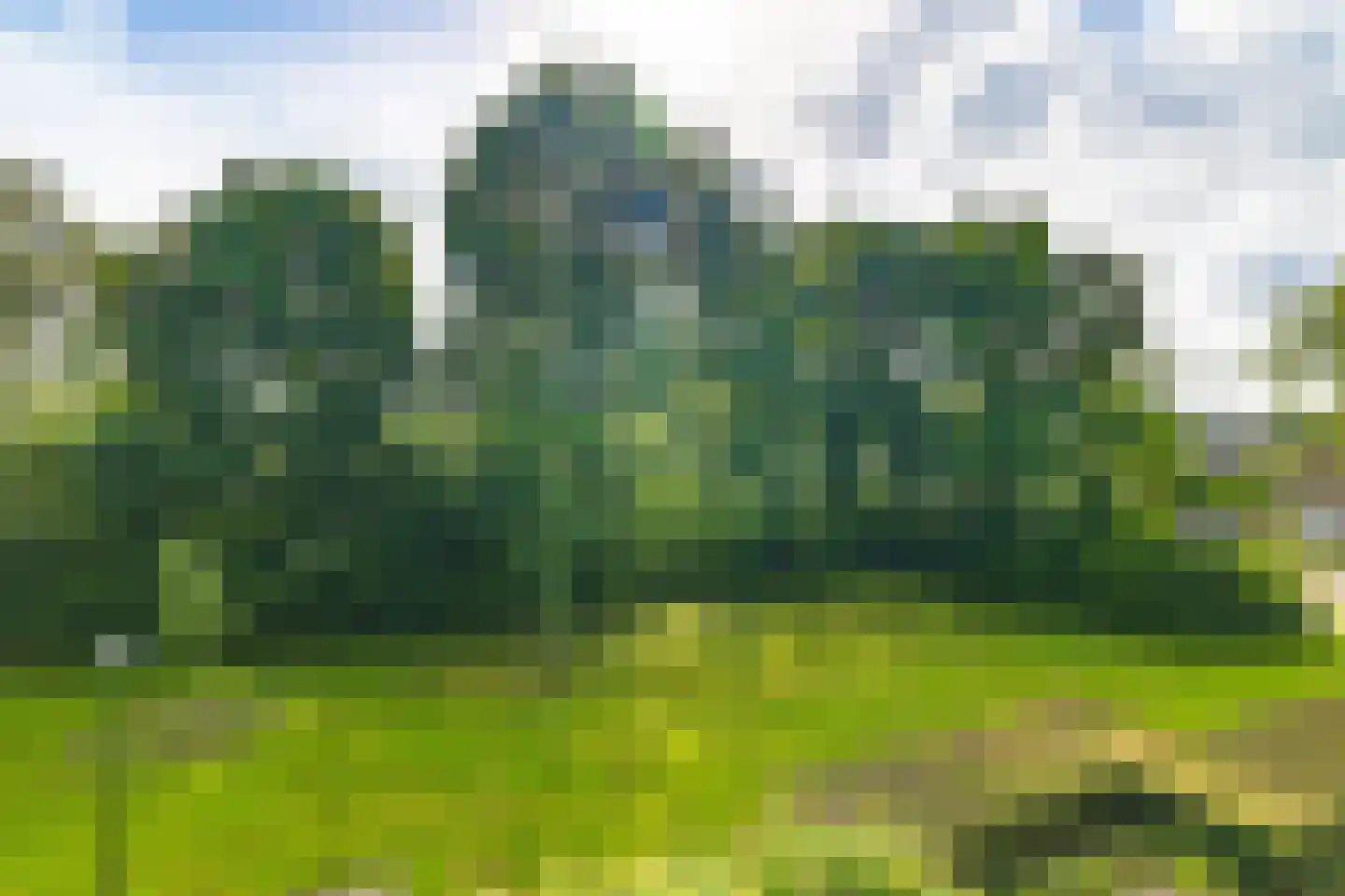 Oosterpad 40 Boxtel thumbnail 86