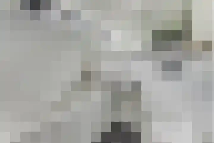 Oosterpad 42 Boxtel thumbnail 20
