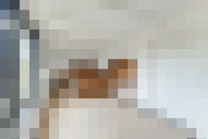 Oosterpad 42 Boxtel thumbnail 25