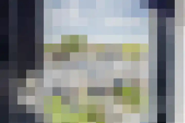 Oosterpad 42 Boxtel thumbnail 27