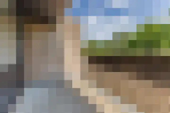 Oosterpad 42 Boxtel thumbnail 28