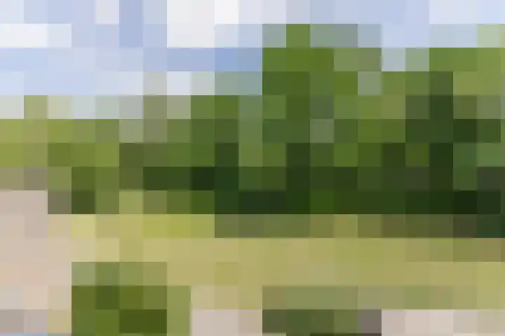 Oosterpad 42 Boxtel thumbnail 30
