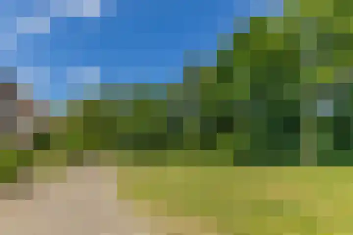 Oosterpad 42 Boxtel thumbnail 44