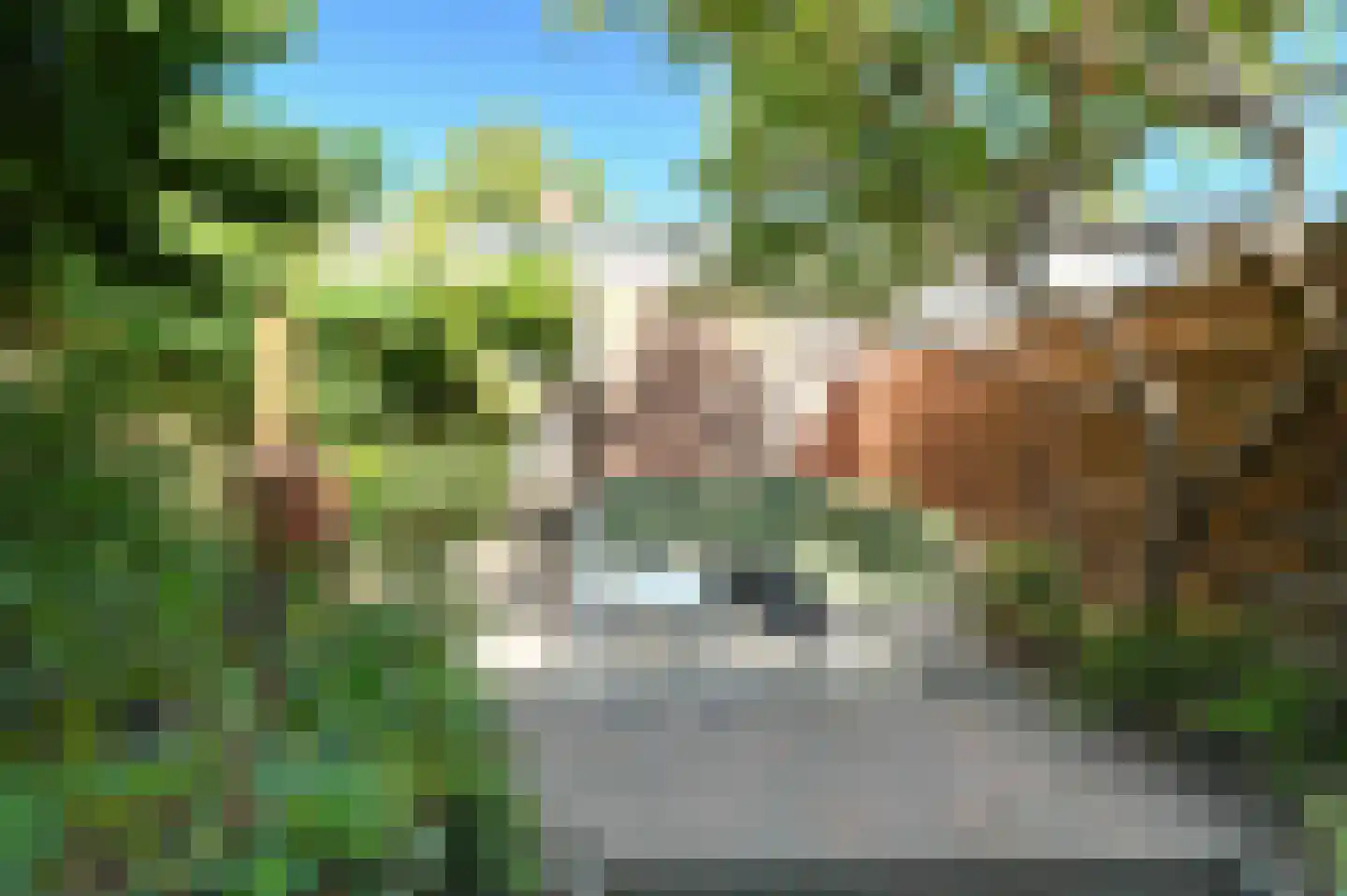 Oosterpad 60 Bussum thumbnail 32