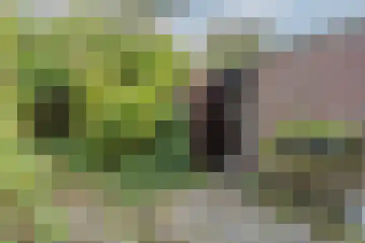 Oosterpark 1 Assen thumbnail 25