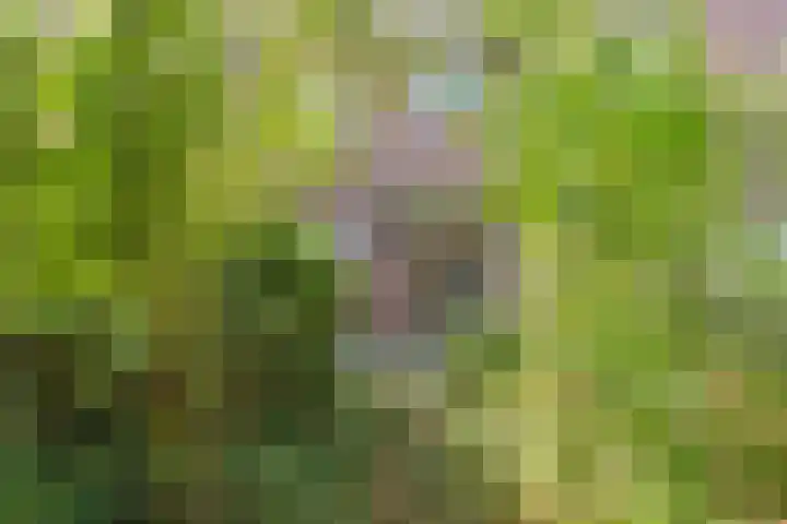 Oosterpark 1 Assen thumbnail 26